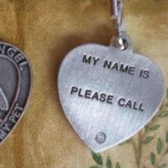 ST FRANCIS OF ASSISI PROTECT MY PET HEART CHARM - Picture 3 of 3